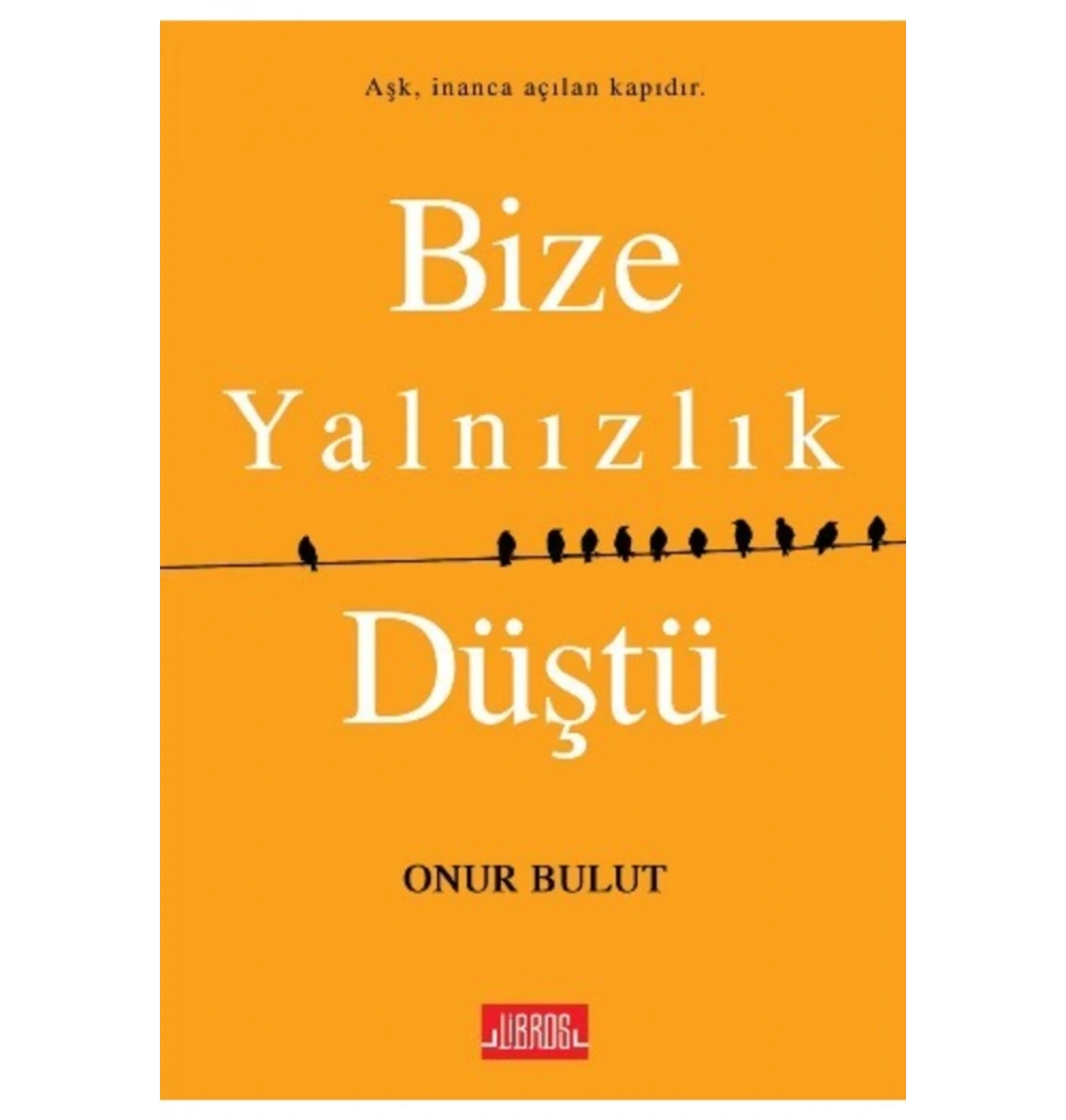 Bize Yalnızlık Düştü.Onur Bulut   Libros