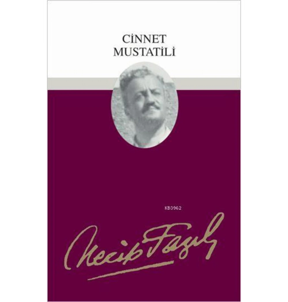 Cinnet Müstatili 002 Yılanlı Kuyudan Necip Fazıl Kısakürek - Büyük Doğu