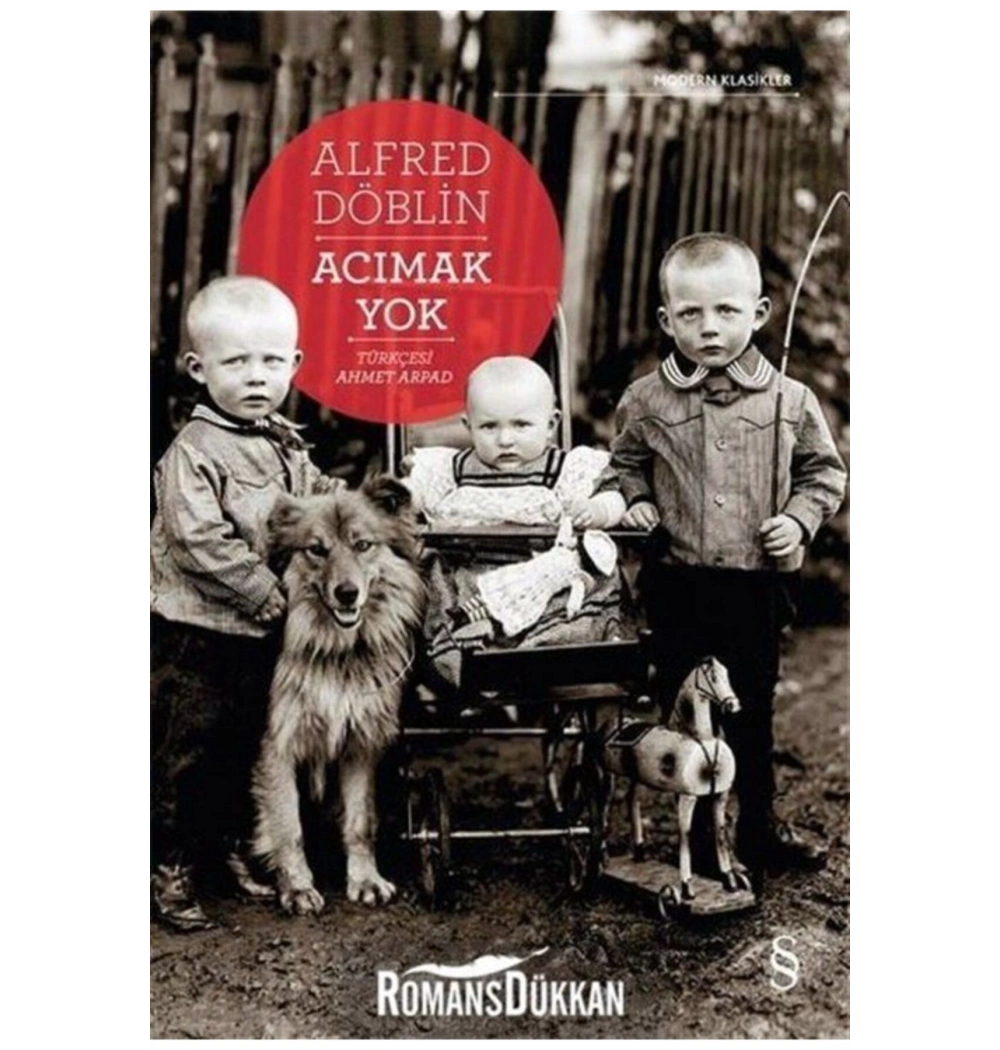 Acımak Yok Alfred Döblin  Everest