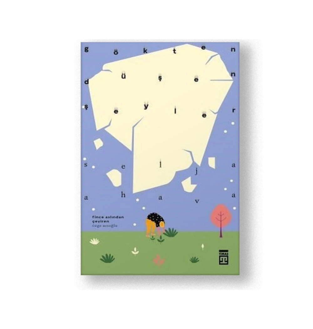 Gökten Düşen Şeyler S.Ahava Timaş