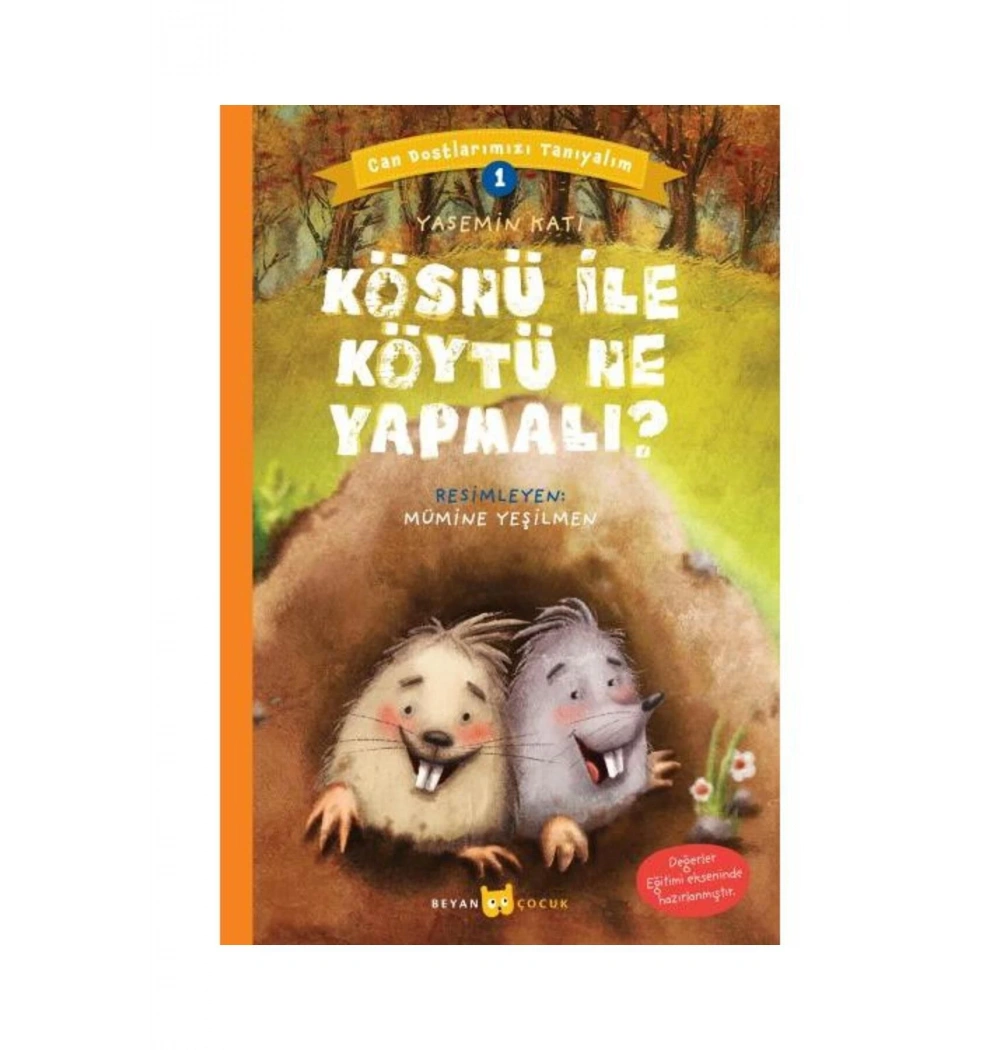 Kösnü İle Köytü Ne Yapmalı Beyan Yayın