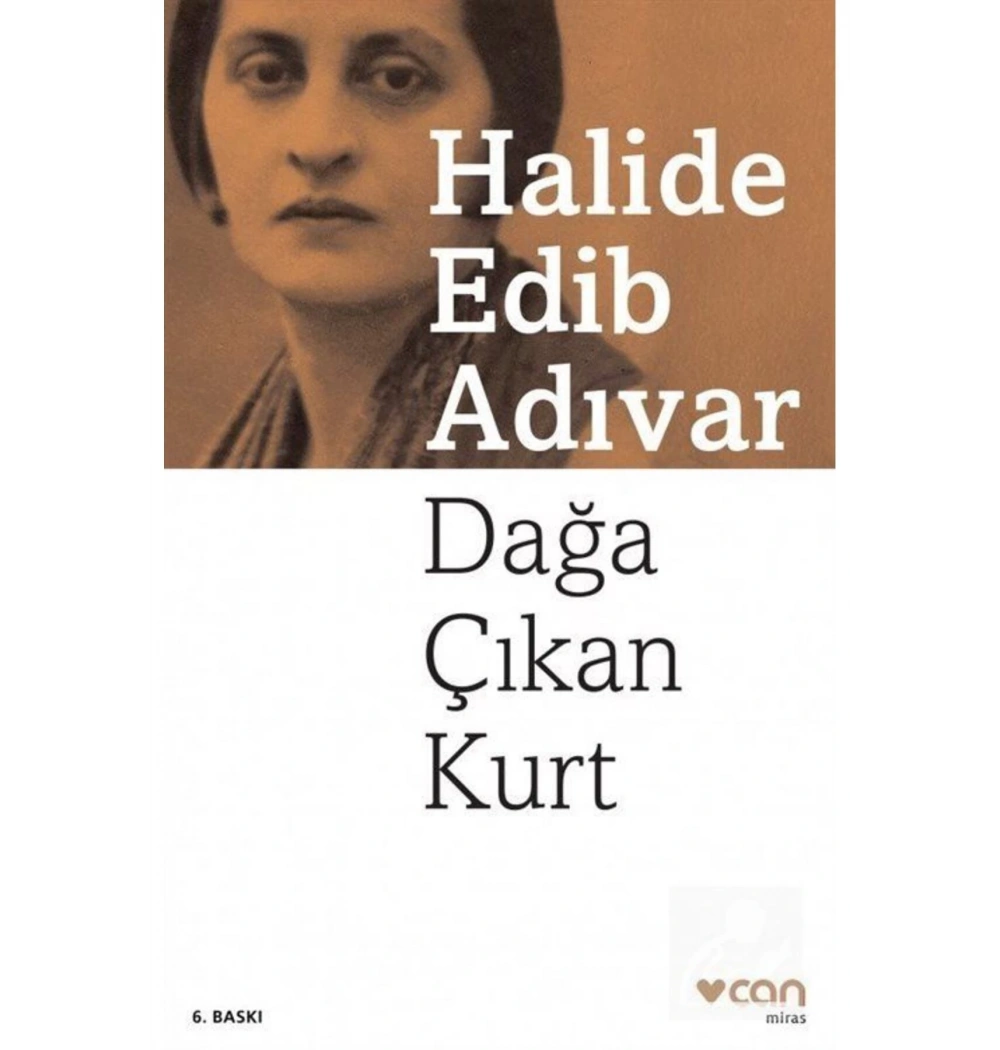 Dağa Çıkan Kurt  H.Adip Adıvar  Can Yayınları
