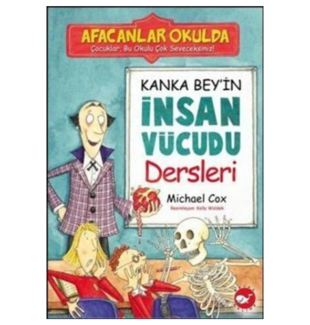 Kanka Beyin İnsan Vücudu Dersleri  Michael Cox Beyaz  Balina