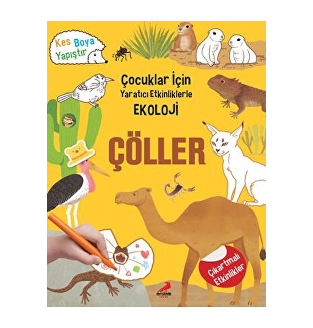 Çocuklar İçin Yaratıcı Etkinliklerle Ekoloji Çöller Erdem