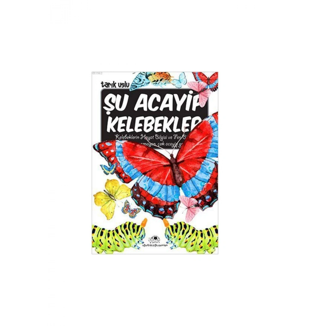 Şu Acayip Kelebekler    Uğurböceği