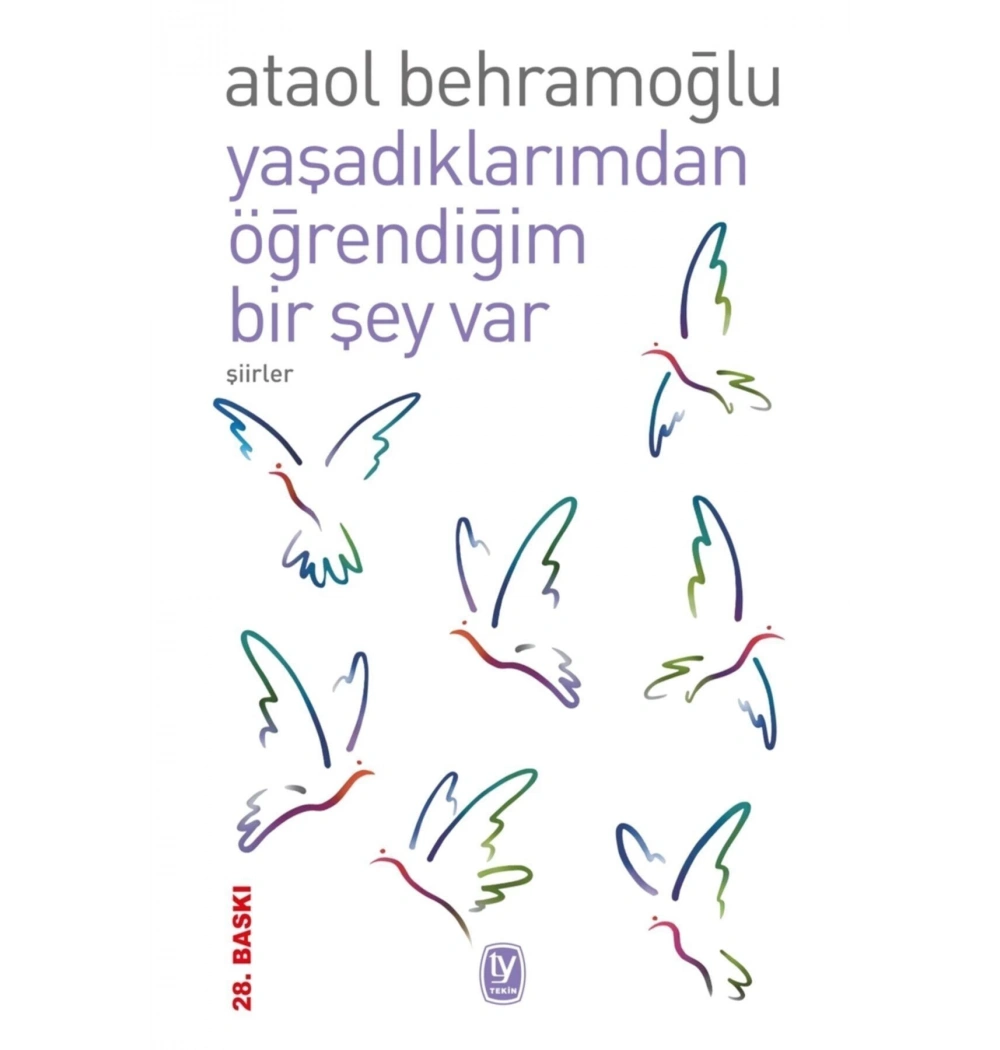 Yaşadıklarımdan Öğrendiğim Birşey Var Tekin