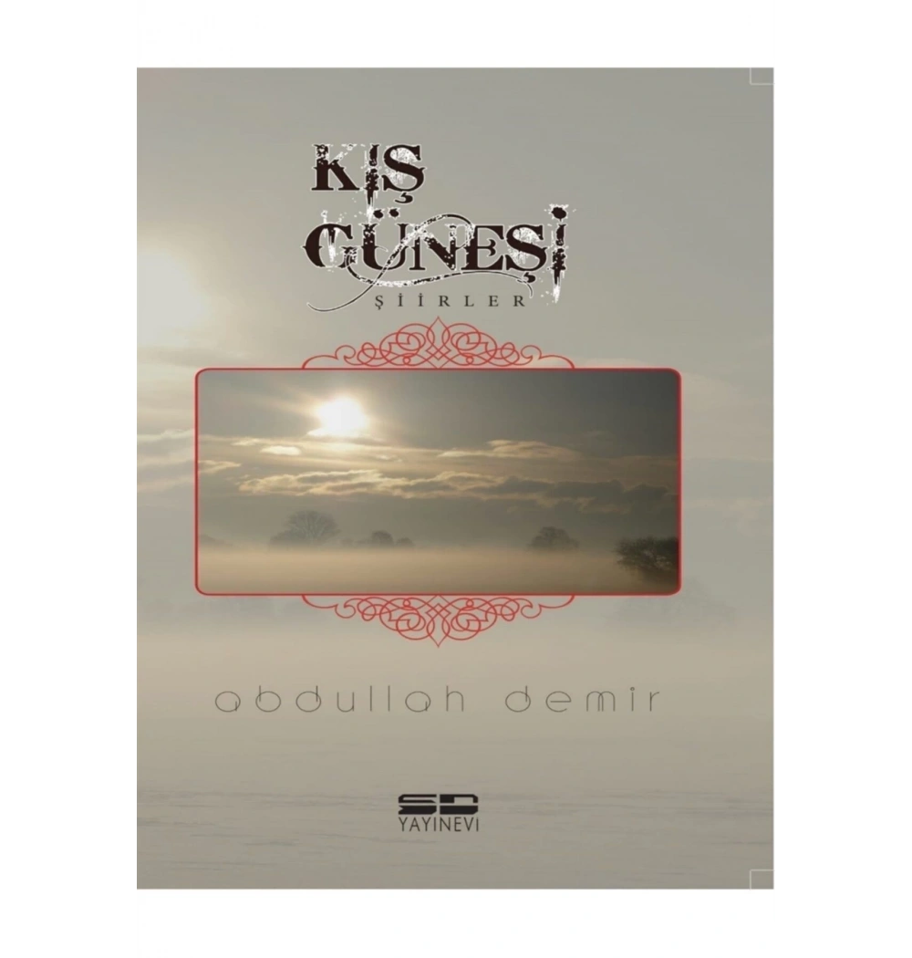 Kış Güneşi Şiirleri Abdullah Demir Sd Yayın