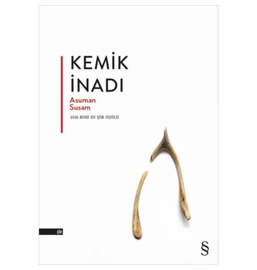 Kemik İnadı Asuman Susam Everest