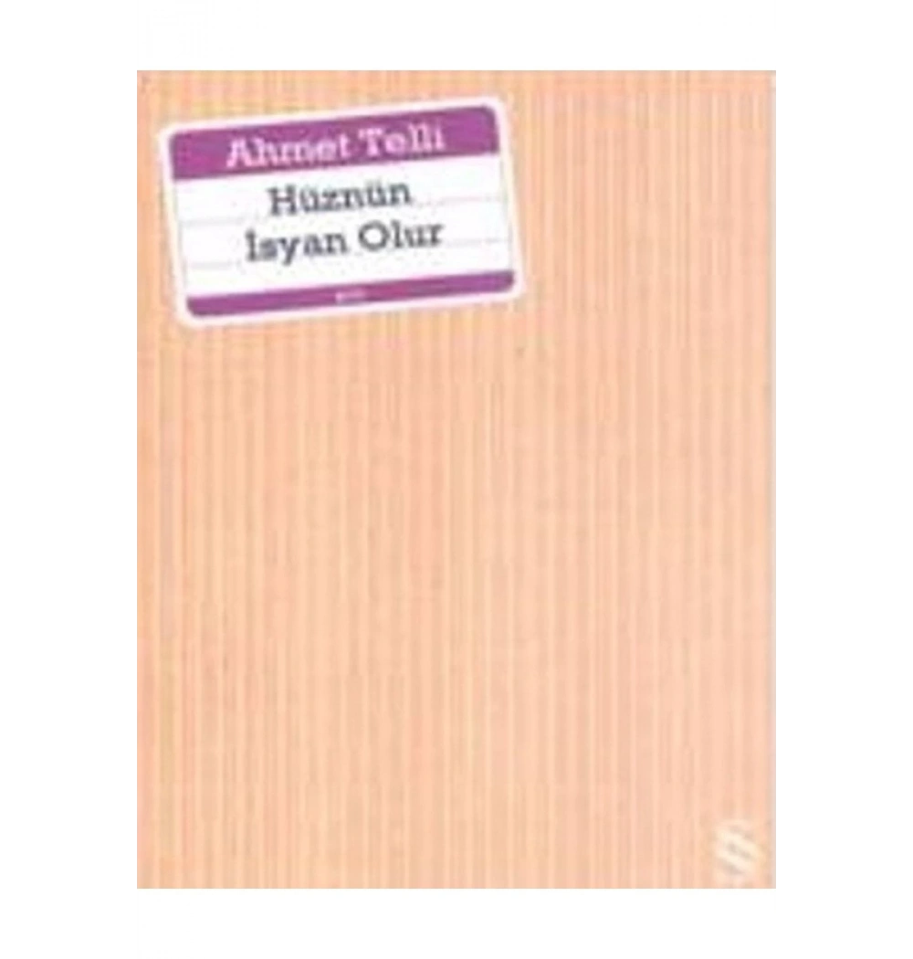 Hüznün İsyan Olur Ahmet Telli Everest