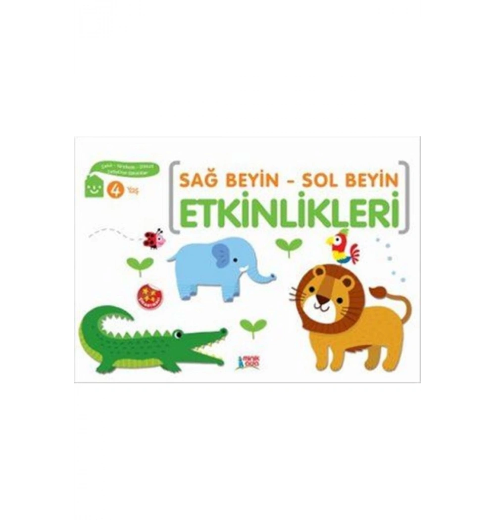 Sağ Beyin Sol Beyin Etkinlikleri 4 Yaş Minik Ada