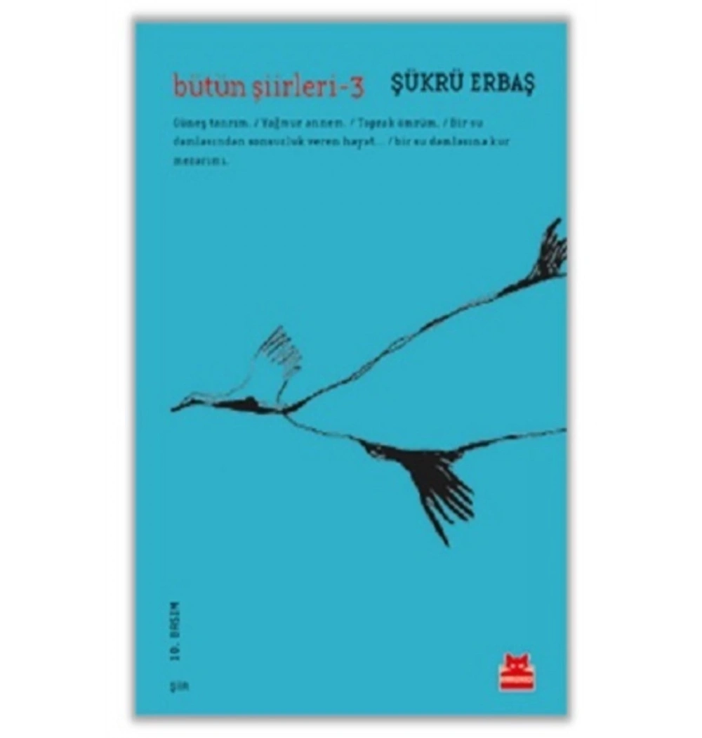 Bütün Şiirleri 3  Şükrü Erbaş Kırmızı Kedi