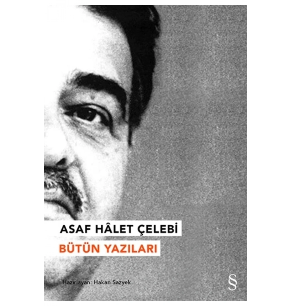 Asaf Halet Çelebi Bütün Yazıları   Everest