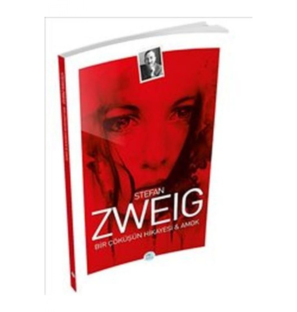 Bir Çöküşün Hikayesi Ve Amok    Stefan Zweıg  Mavi Çatı