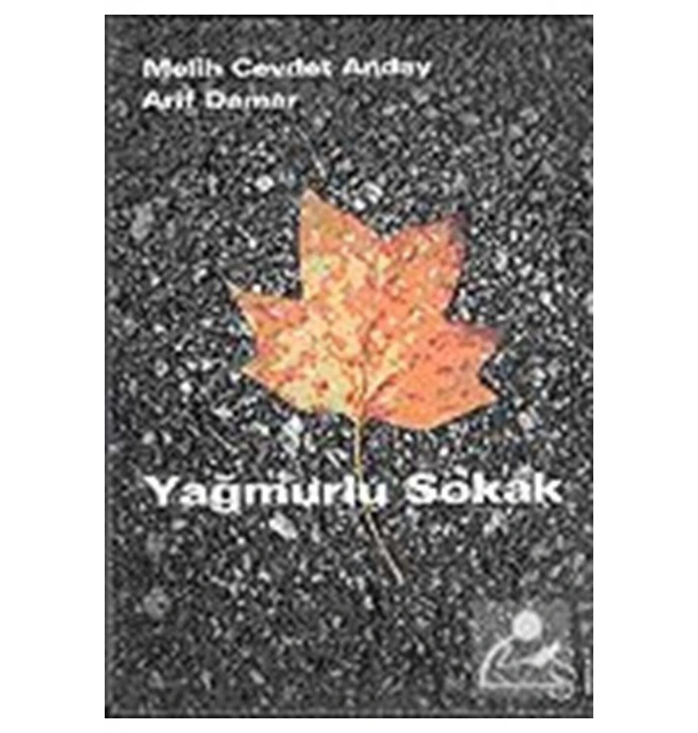 Yağmurlu Sokak  Melih Cevdet Anday   Everest