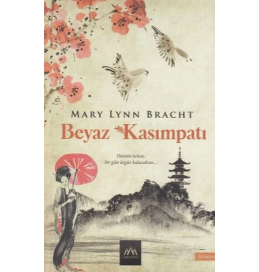 Beyaz Kasımpatı Mary Lınn Arkadya
