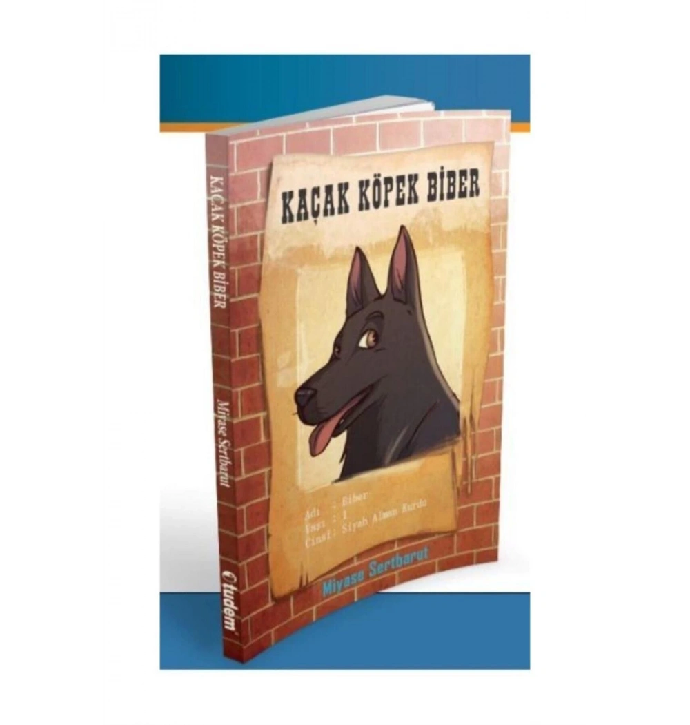 Kaçak Köpek Biber  Miyase Sertbarut  Tudem