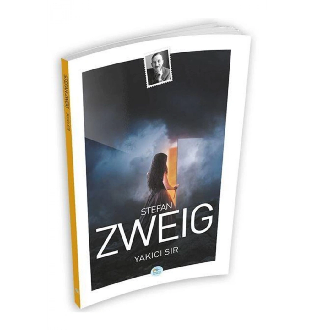 Yakıcı Sır  Stefan Zweıg  Mavi Çatı