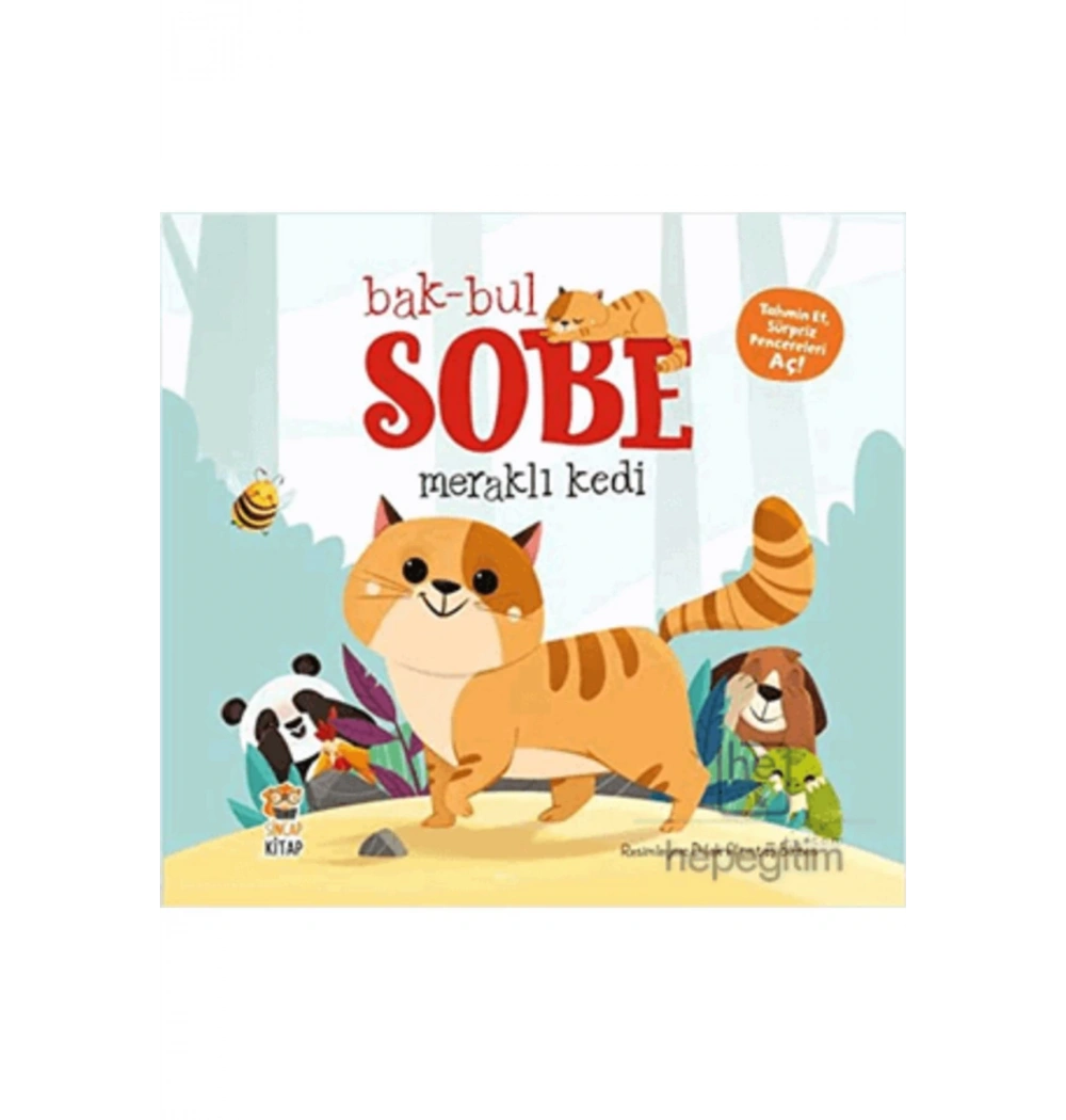 Bak Bul Sobe Meraklı Kedi  Sincap Kitap