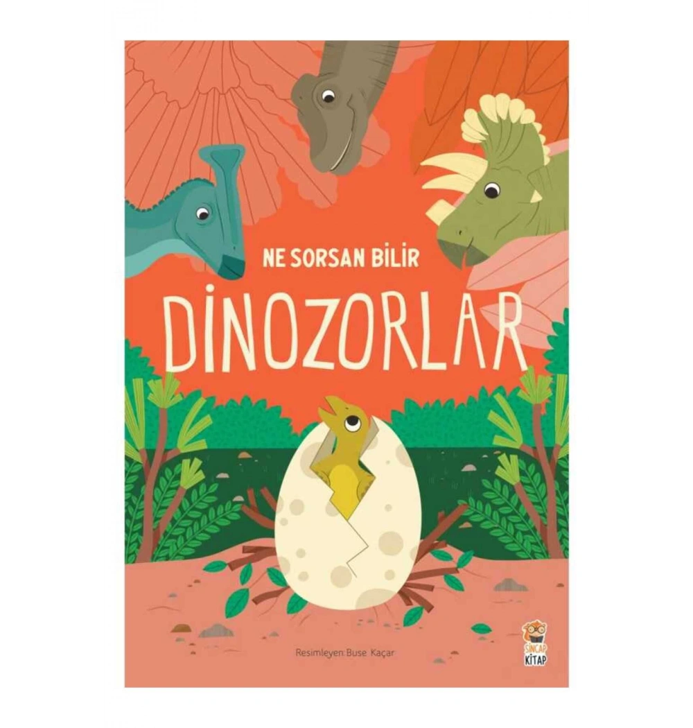 Benim İlk Dinozorlar Kitabım Sincap Kitap