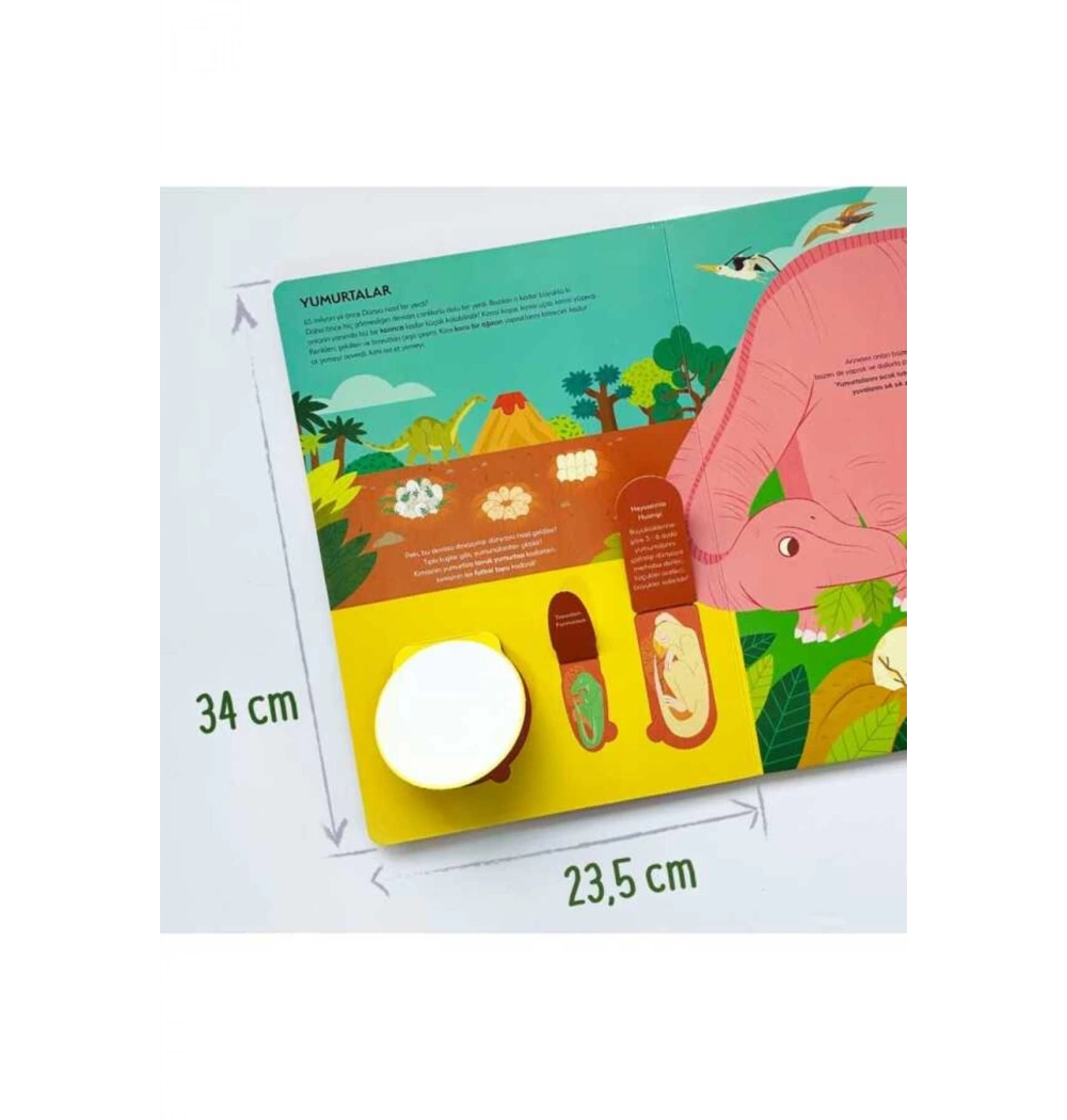 Benim İlk Dinozorlar Kitabım Sincap Kitap