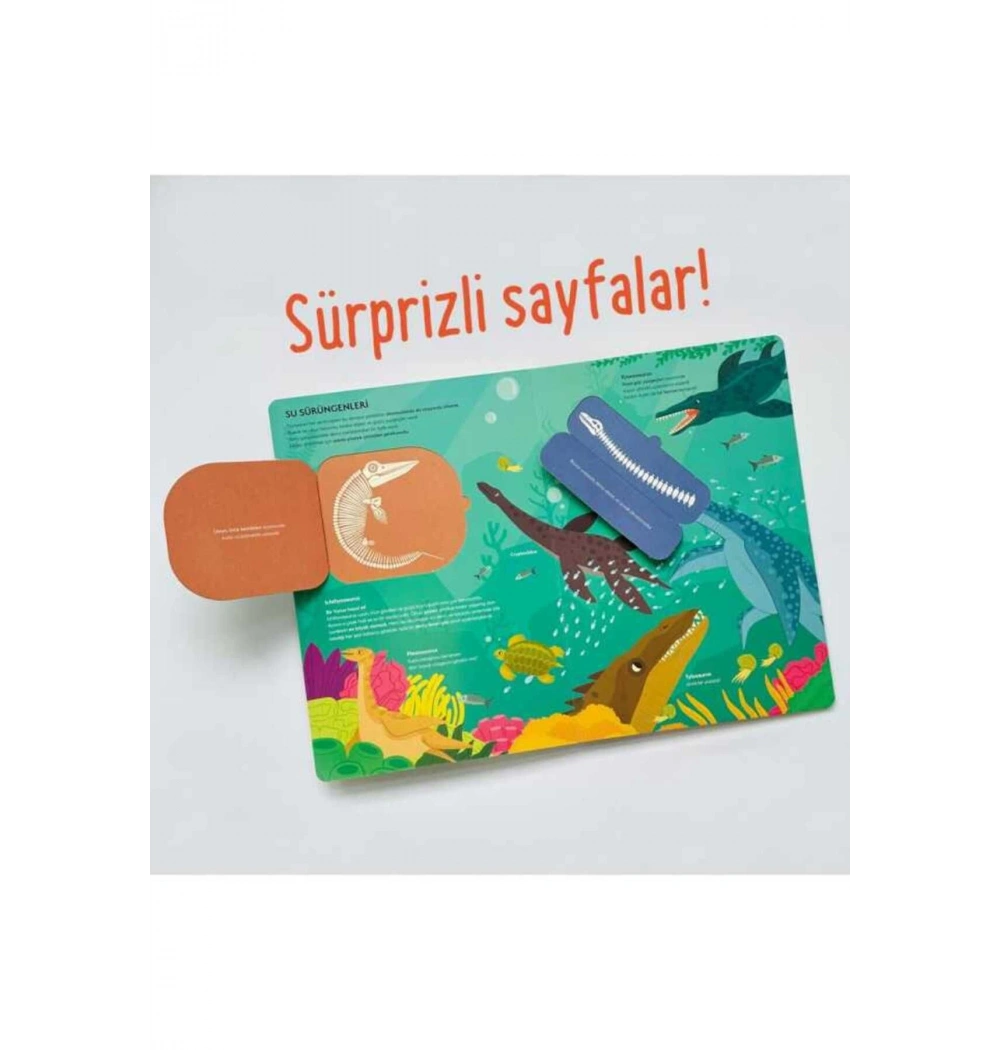 Benim İlk Dinozorlar Kitabım Sincap Kitap