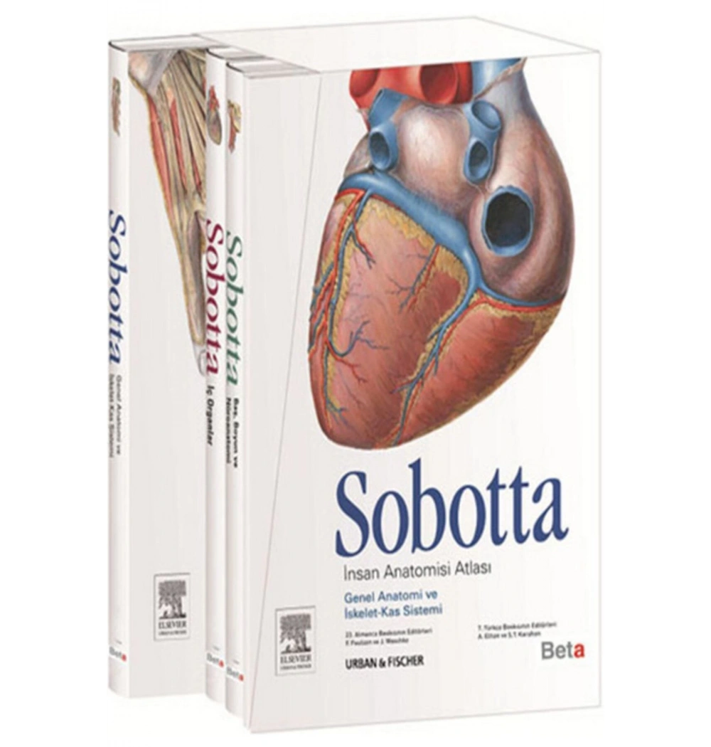 Sobotta İnsan Anatomisi Atlası 3 Cilt Beta