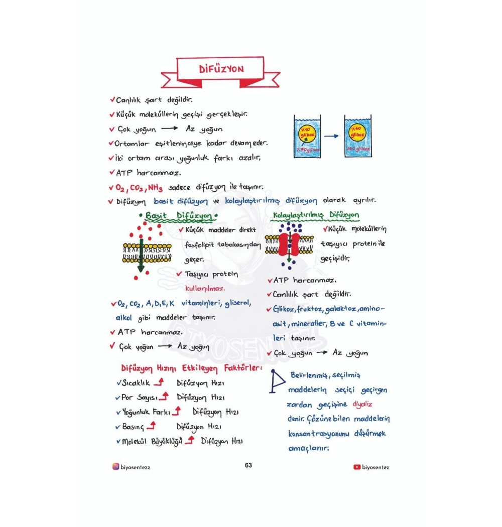 Tyt Yağmur Hoca İle Biyosentez Biyoloji Not Defteri