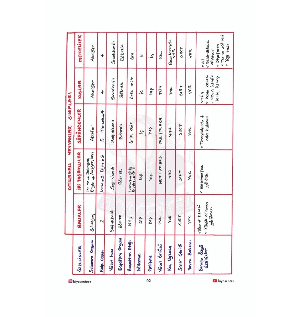 Tyt Yağmur Hoca İle Biyosentez Biyoloji Not Defteri
