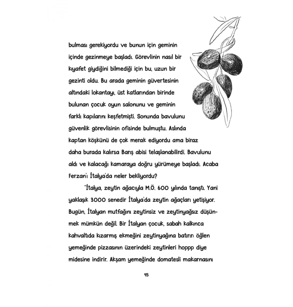 Zeytin Ağacının Fısıltısı  Multibem