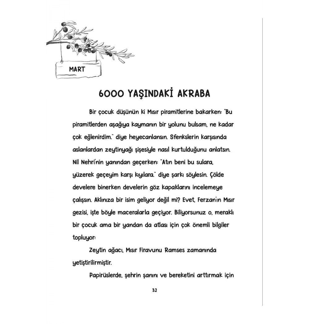 Zeytin Ağacının Fısıltısı  Multibem