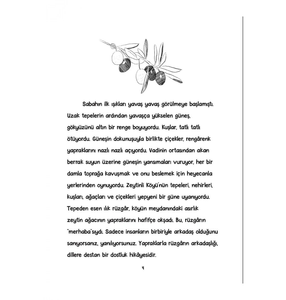 Zeytin Ağacının Fısıltısı  Multibem