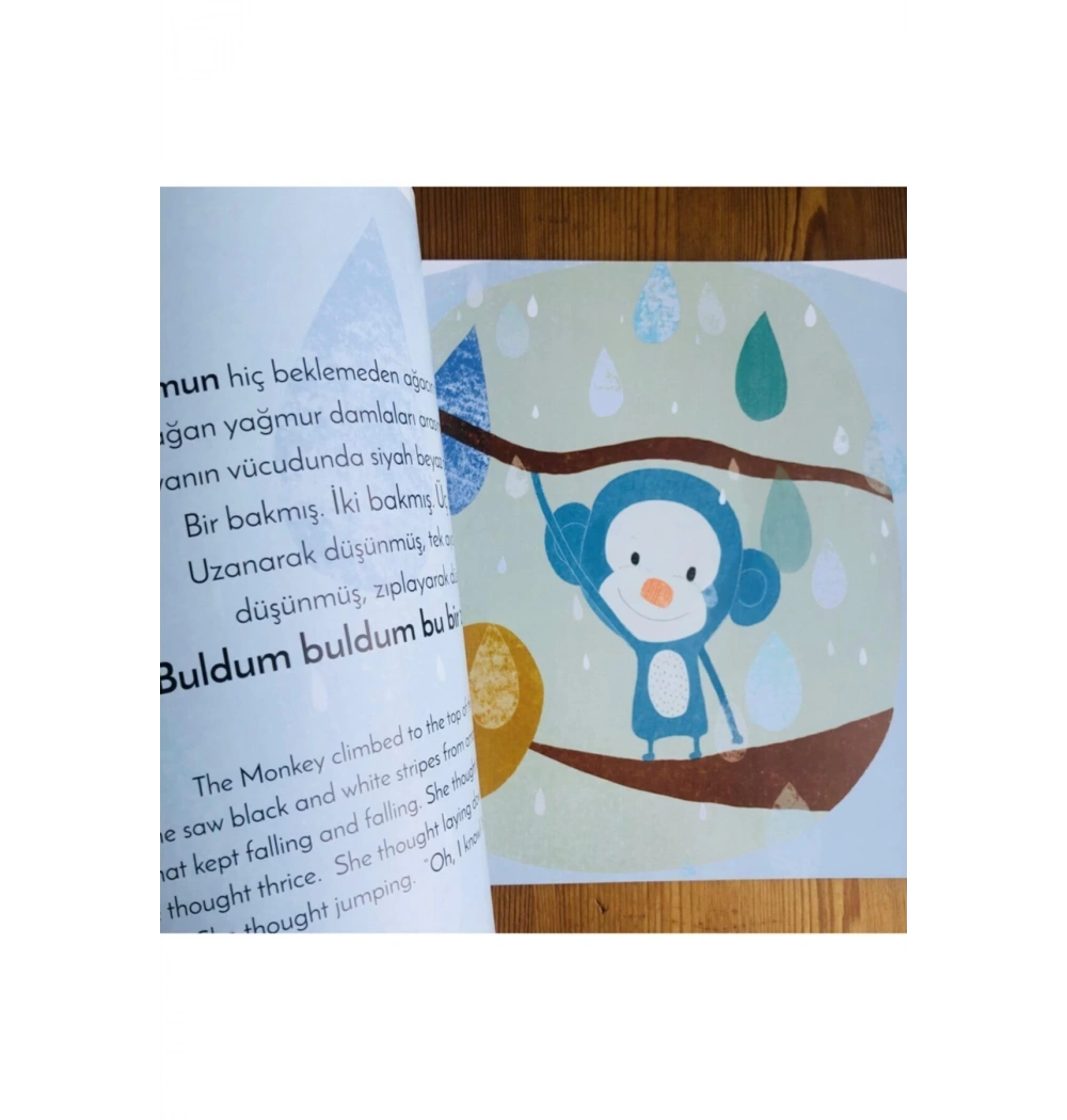 Ormanda Bir Misafir  Multibem