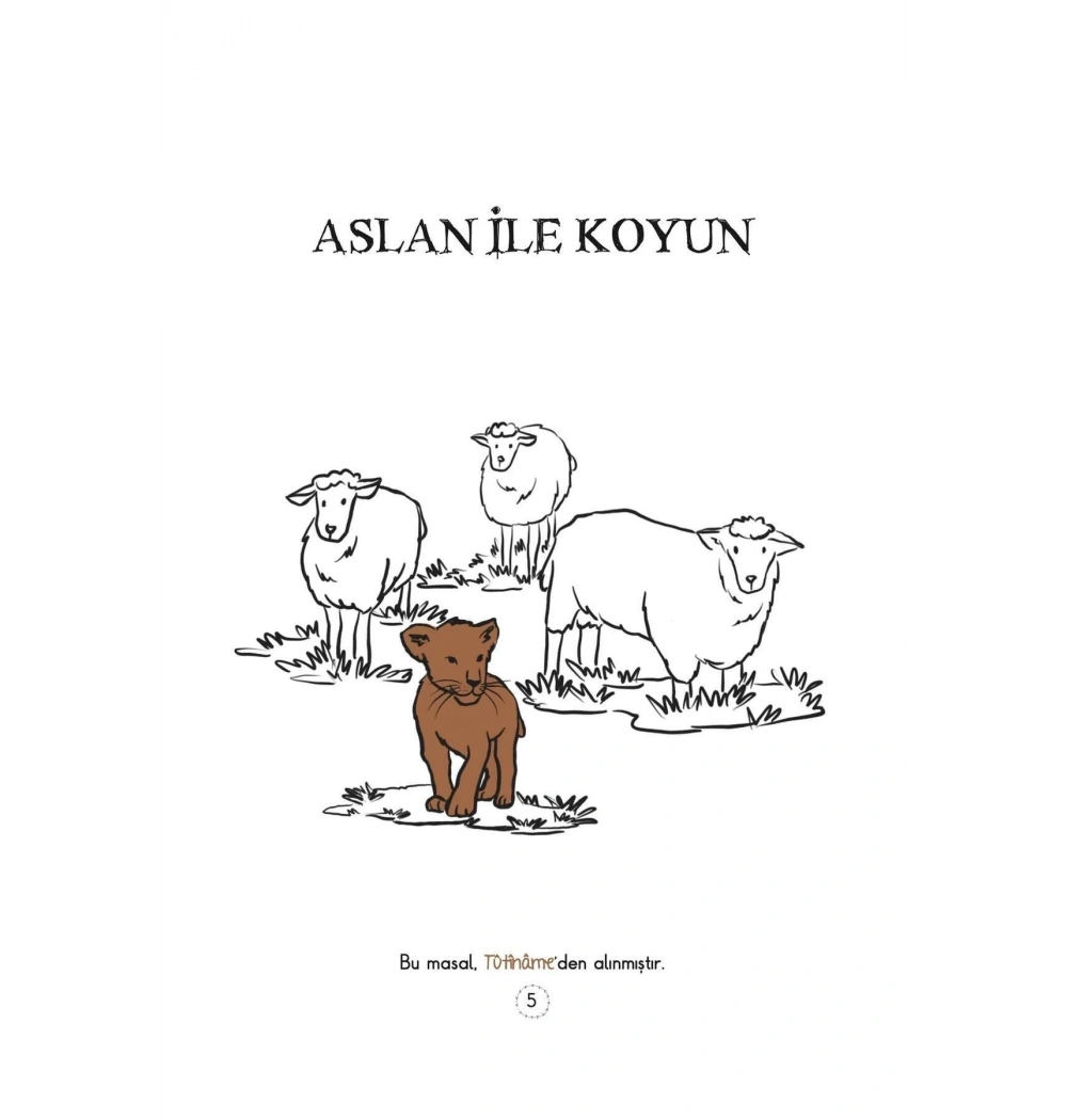 Aslan Masalları Multibem