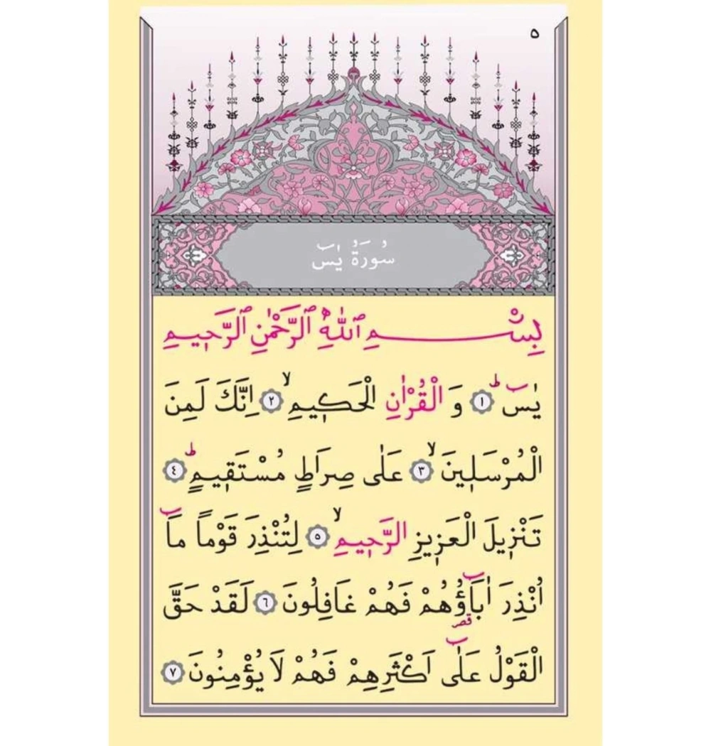 Hayrat 2 Renk Cep Süet Mealli Yasin Lafzatullah- P. Pembe
