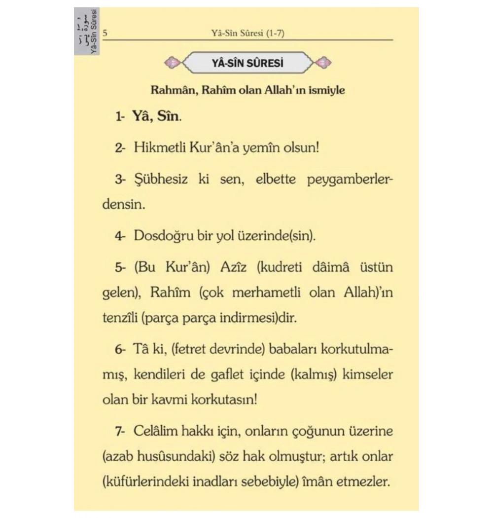 Hayrat 2 Renk Süet Mealli Yasin Cüzü Cep Bebe Pembesi