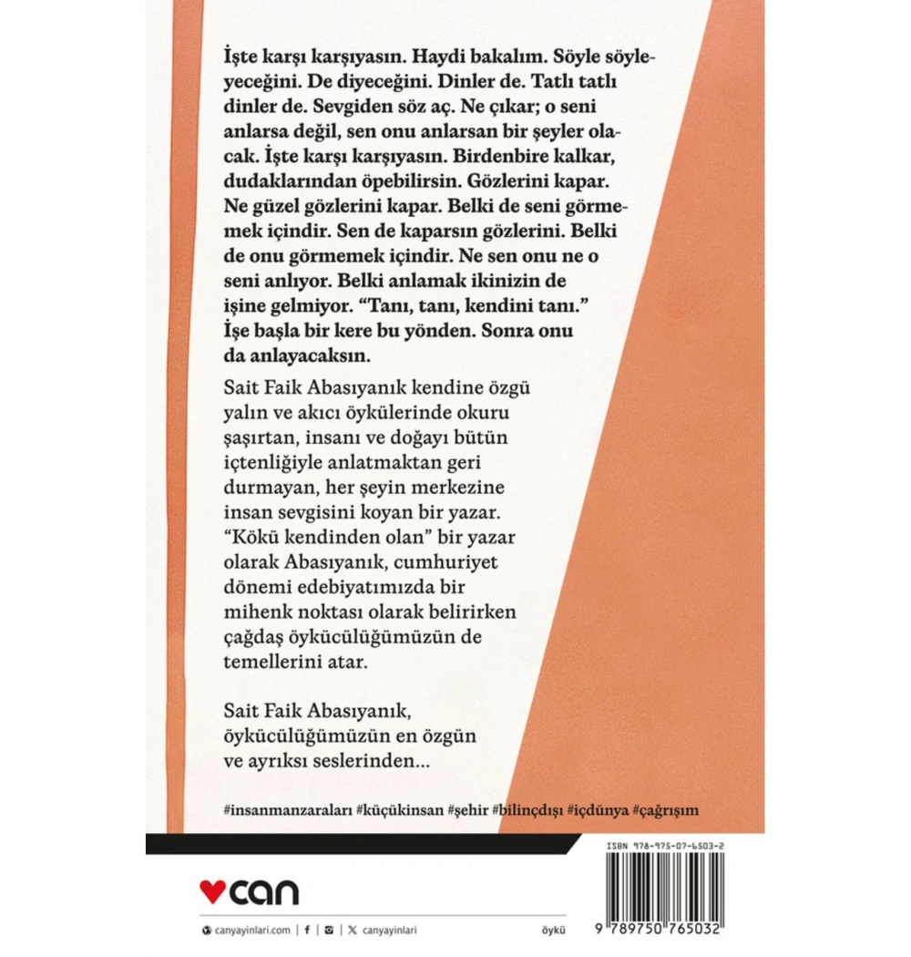 AlemdağDa Var Bir Yılan Sait Faik  Can Yayın