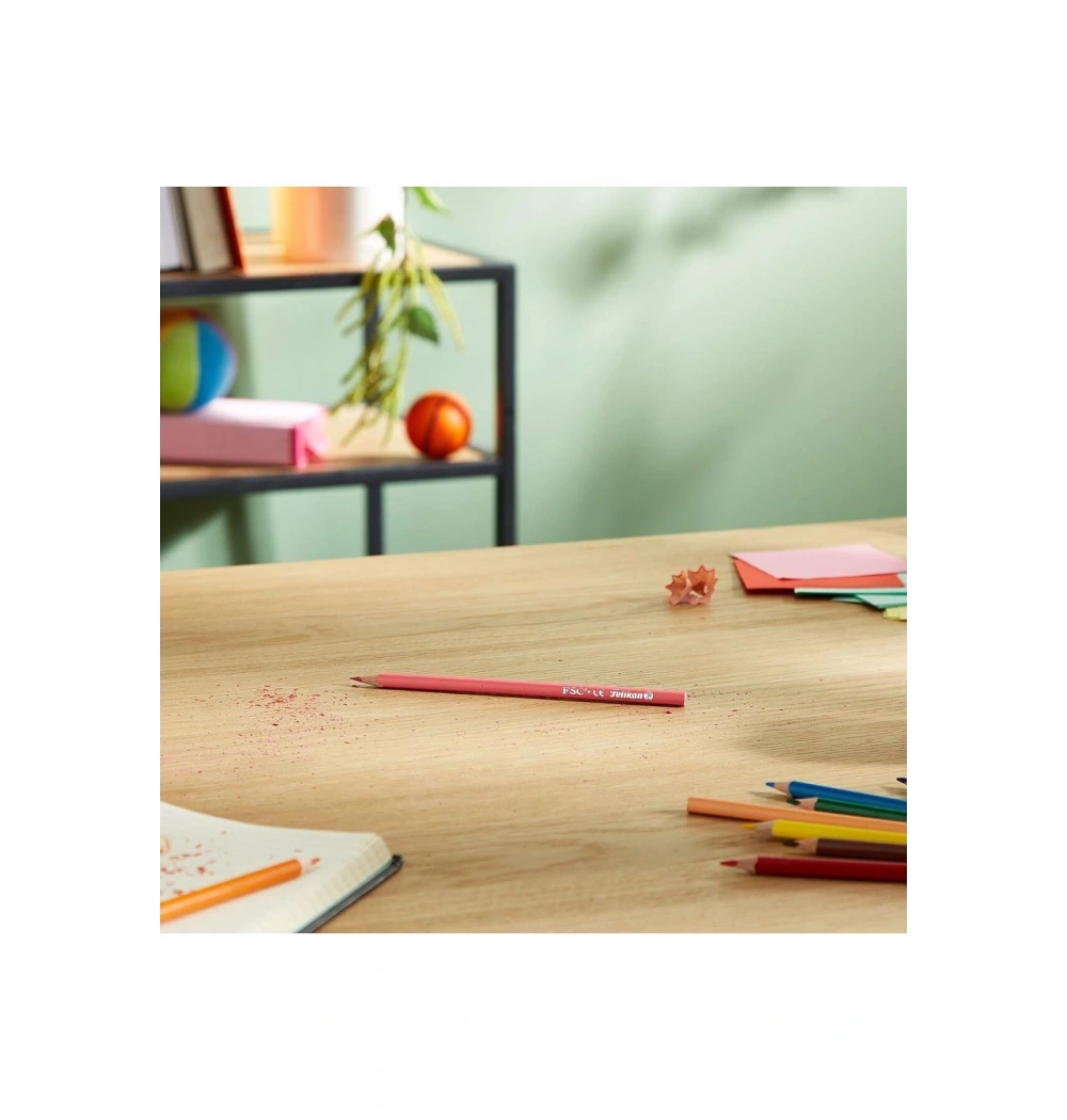 Pelikan 12li Üçgen Kuru Boya 4012700700117