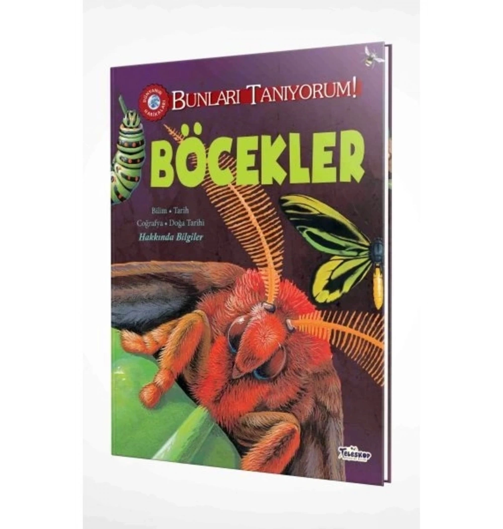 Böcekler Teleskop