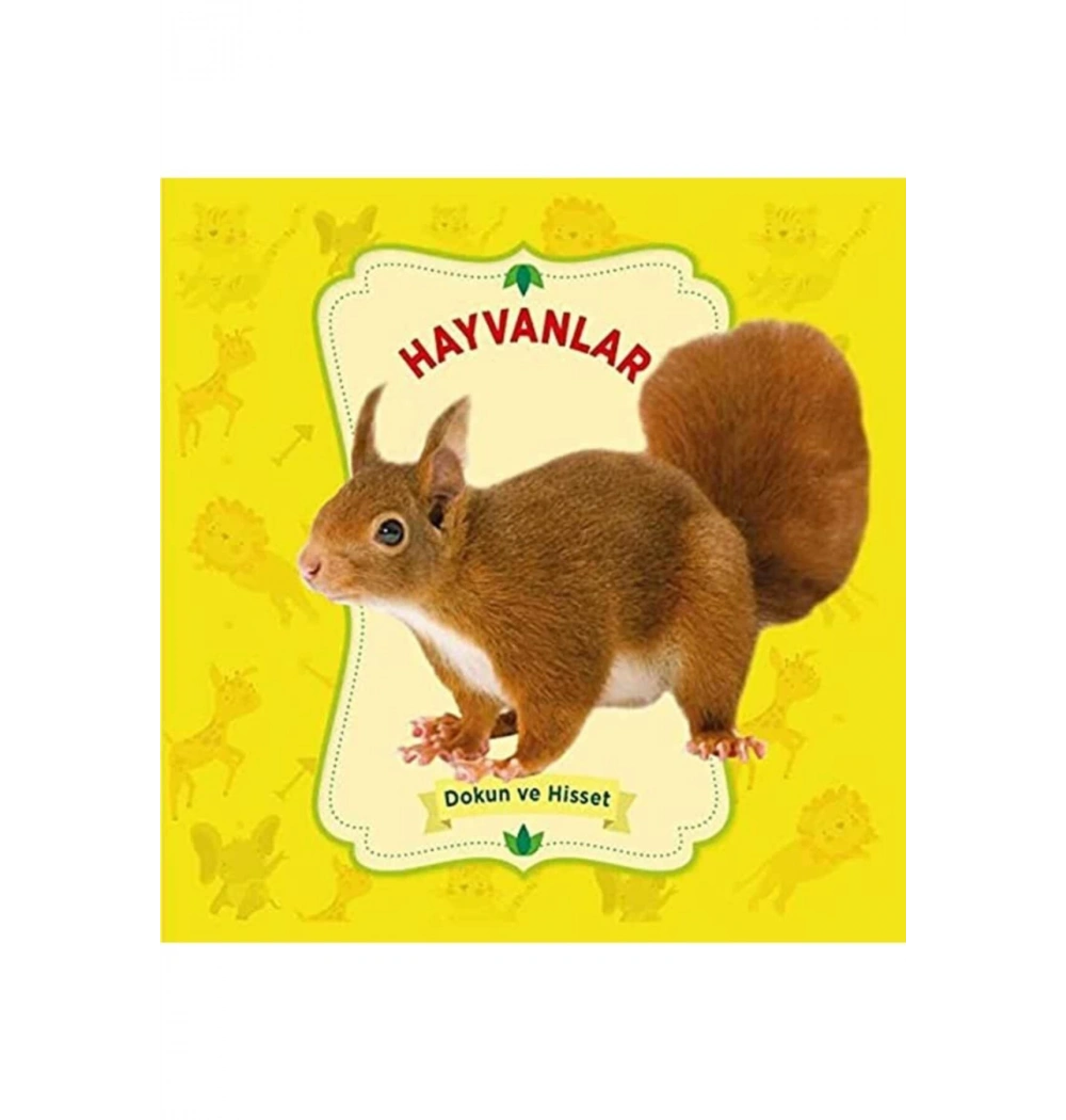 Sevimli Hayvanlar Dokun Ve Hisset