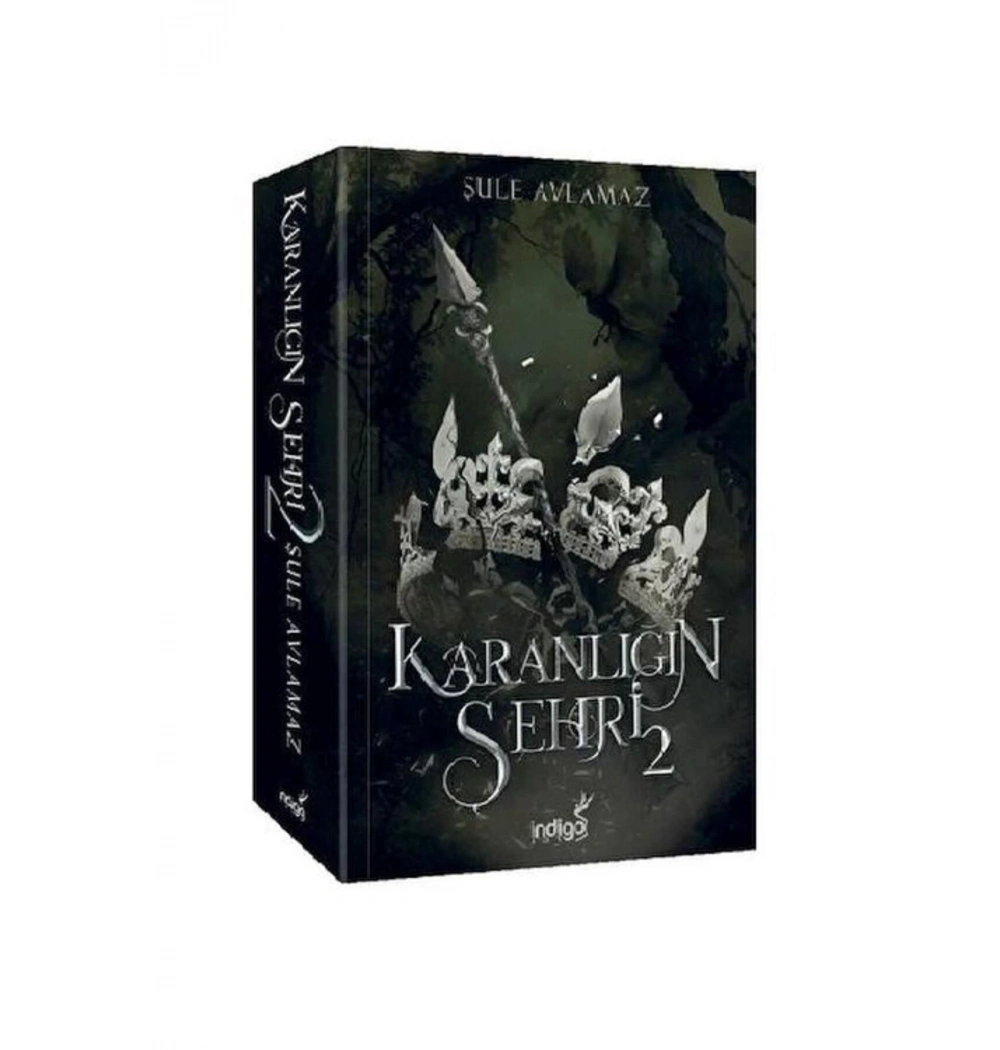Karanlığın Şehri 2  Şule Aylamaz  İndigo