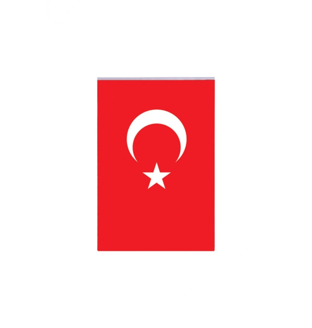 Vatan Makam Türk Bayrağı 100X150 Simsiz Vt206