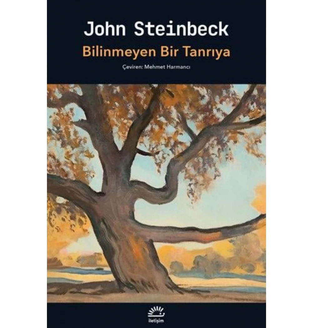 Bilinmeyen Bir Tanrıya  John Steinbeck  İletişim