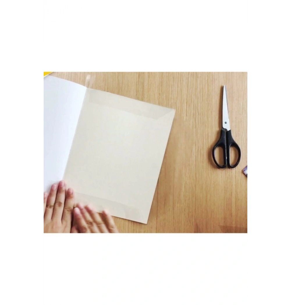 Etona Asetat Yapişkanli Rulo 45*2M Etn 930