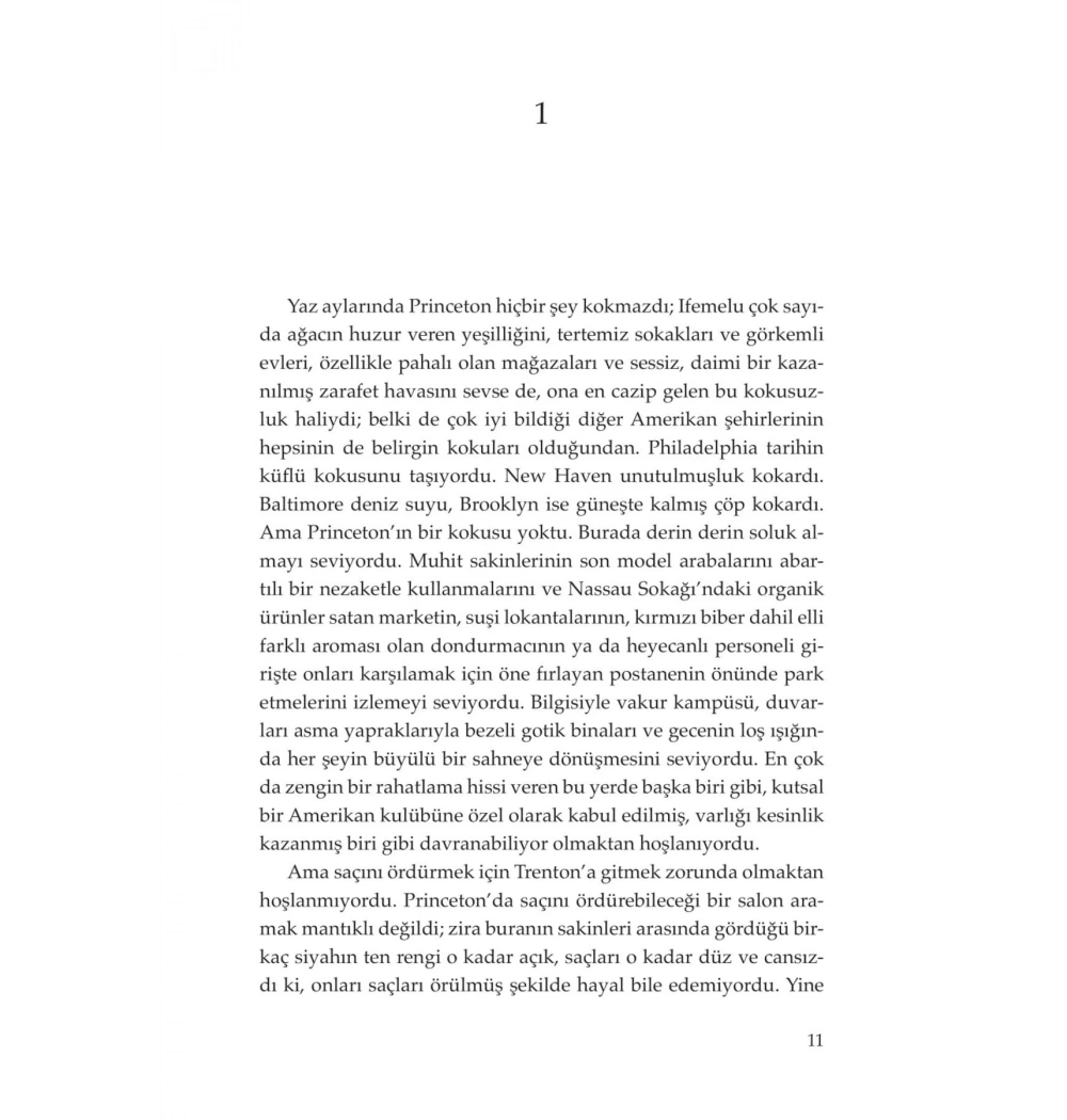 Amerikana- Chimamanda Ngozi  Doğan Kitap