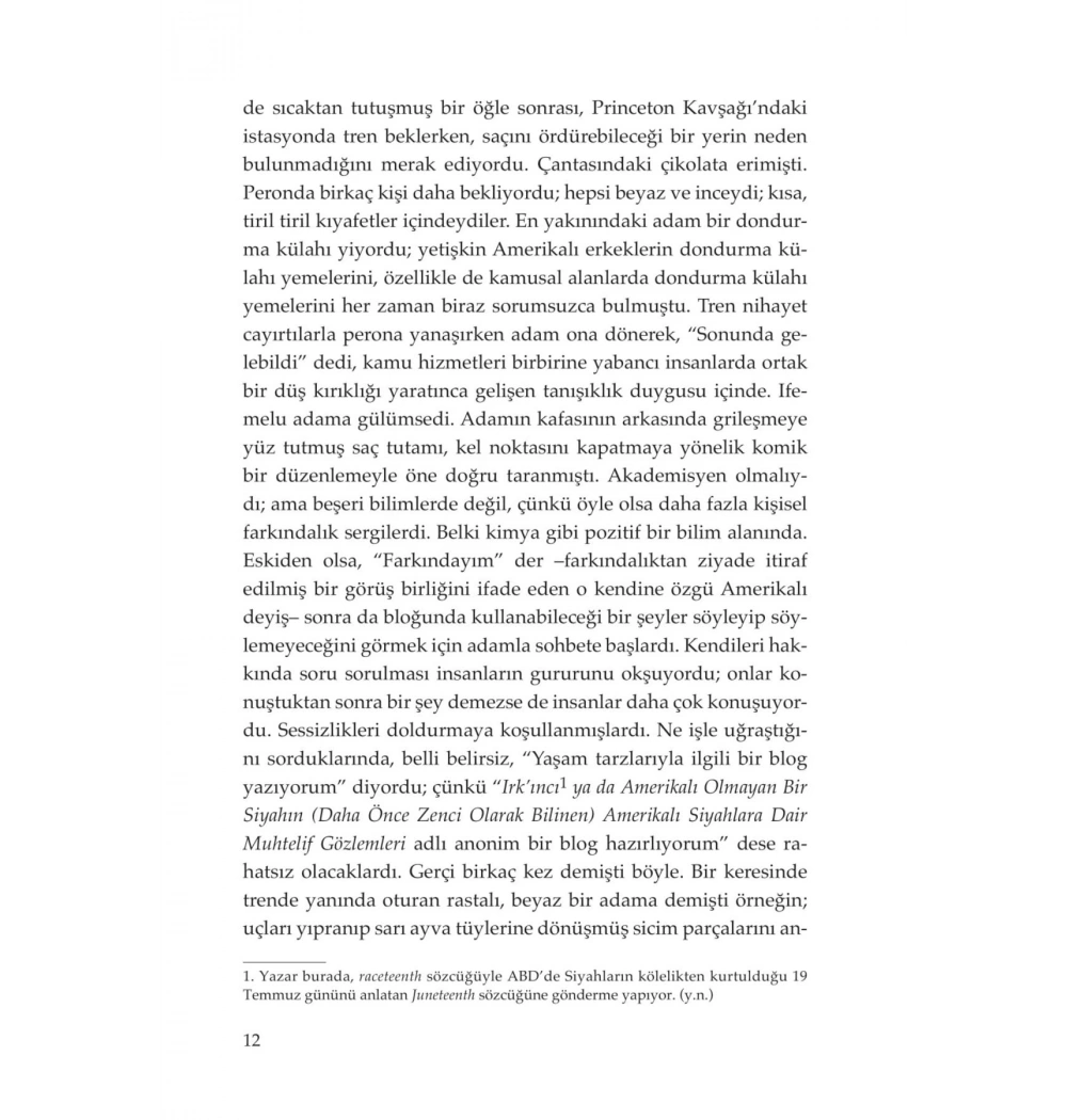 Amerikana- Chimamanda Ngozi  Doğan Kitap