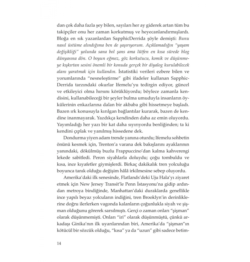 Amerikana- Chimamanda Ngozi  Doğan Kitap