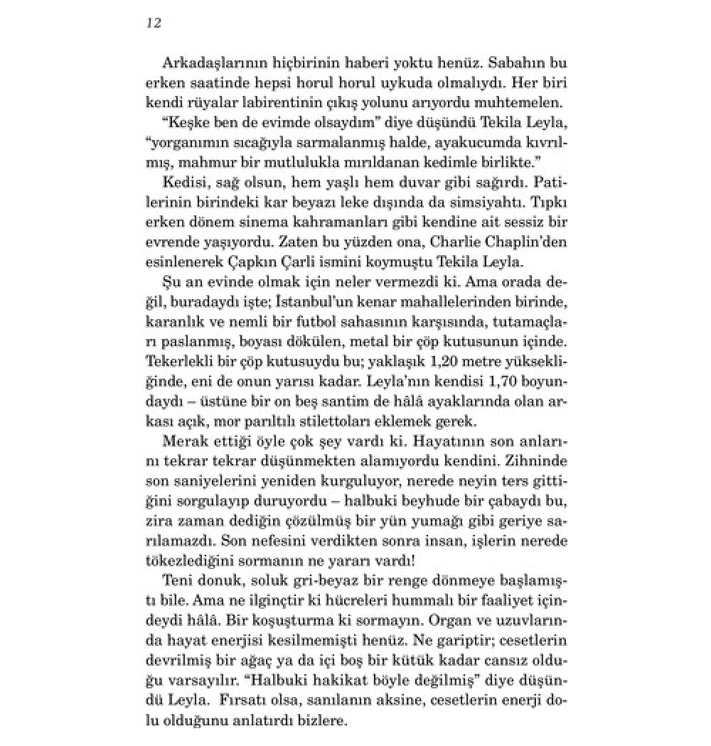 On Dakika Otuz Sekiz Saniye Elif Şafak Doğan Kitap