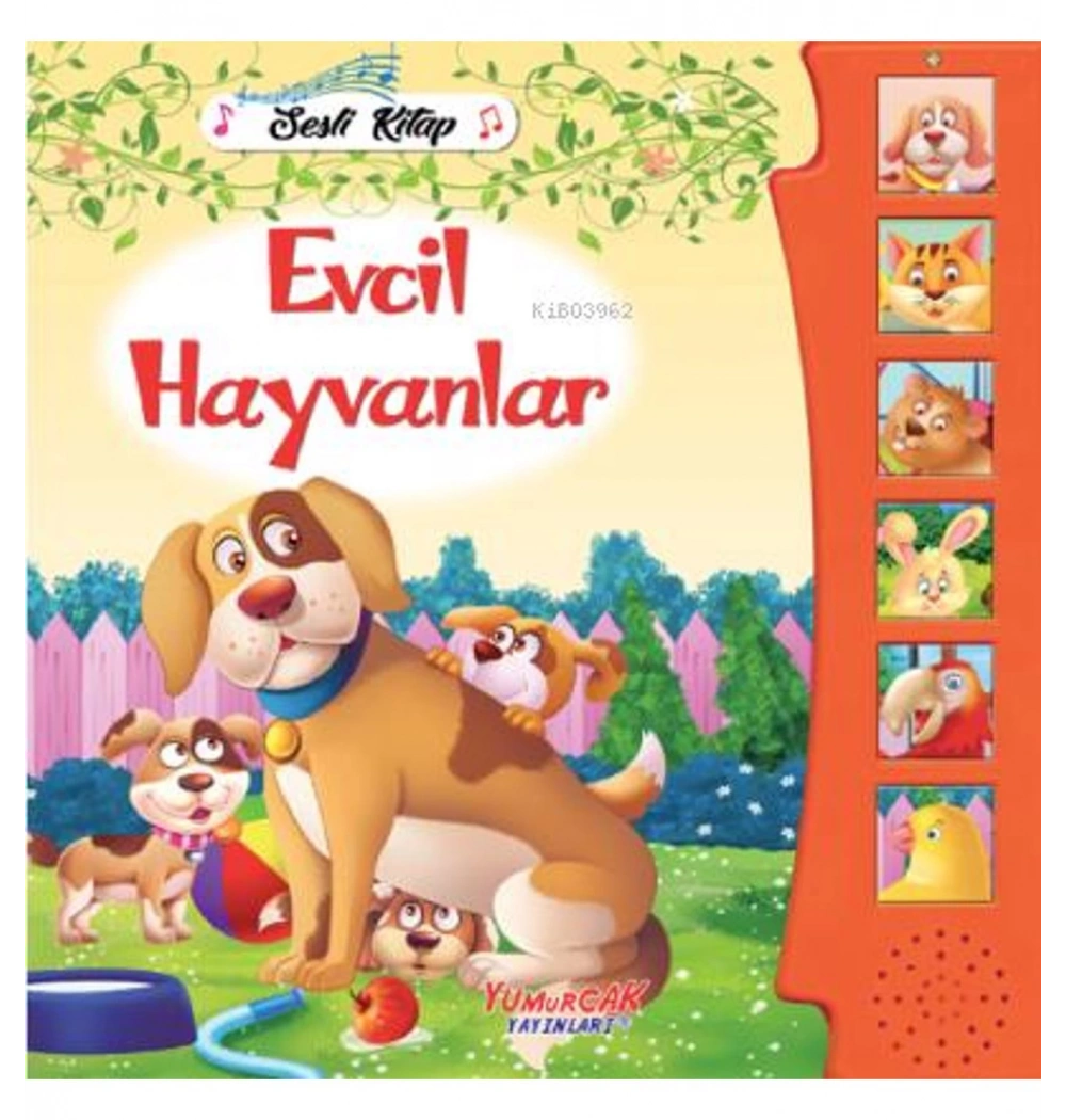 Evcil Hayvanlar Sesli Kitap Yumurcak