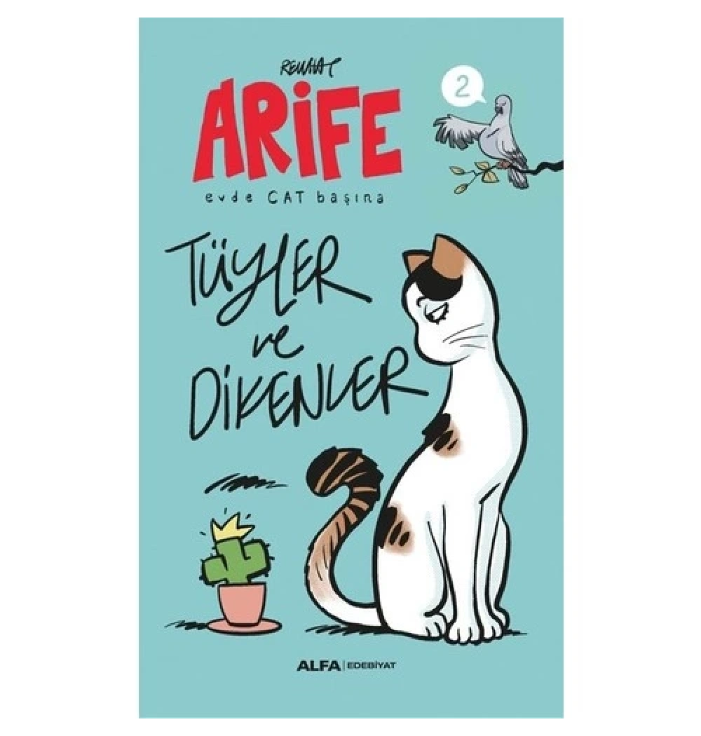 Ari̇Fe Evde Cat Başina Tüyler Ve Di̇Kenler