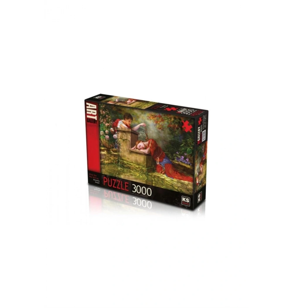 Ks Games Puzzle 3000 Whıle She Was Waıtıng